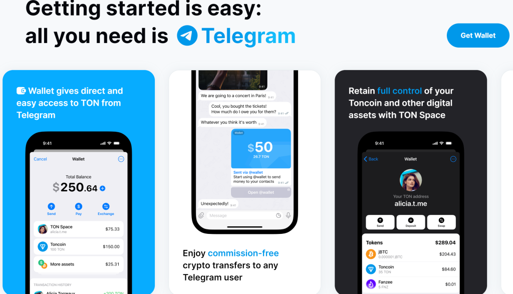 What is Toncoin (TON)