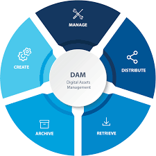 Digital Asset